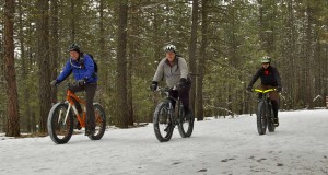 Finding the Right Fat Bike