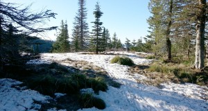 Lemonade Loppet Fun Run/Snowshoe (Mt. Spokane, Sunday, March 1)