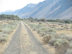 Under the Saddle Mountain escarpment east of the Columbia River. // Photo: Nick Thomas.