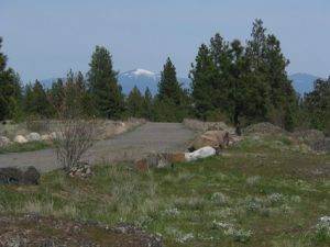 Palisades4_2010 006