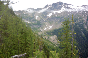 Photo of North Cascades courtesy of Conservation Northwest.