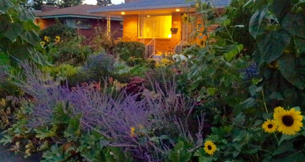 Urban Permaculture: Design Your Own Backyard Oasis | Out ... Urban Permaculture: Design Your Own Backyard Oasis | Out ... on Backyard Permaculture Design id=75537